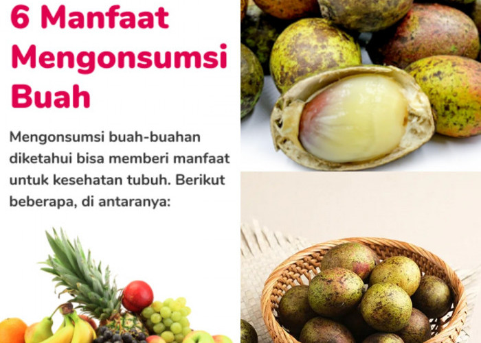 Mengapa Buah Matoa Bisa Jadi Superfood untuk Tubuh Anda?! Temukan Manfaatnya!