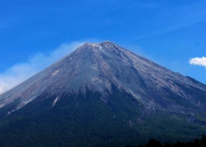 Taukah Kamu? inilah 10 Gunung Tertinggi yang Ada di Indonesia Loh