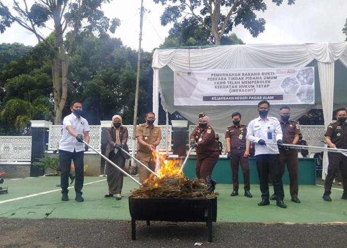 Kejari Pagar Alam Musnahkan Barang Bukti Kejahatan