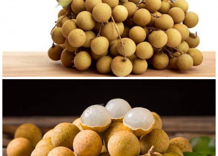  4 Khasiat Buah Kelengkeng yang Jarang Diketahui, Baik untuk Daya Tahan Tubuh hingga Kesehatan Kulit