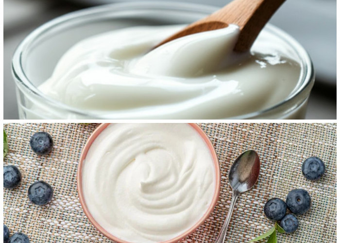 Rahasia Sehat dari Yoghurt Plain: Nutrisi Alami untuk Pencernaan, Tulang, dan Daya Tahan Tubuh