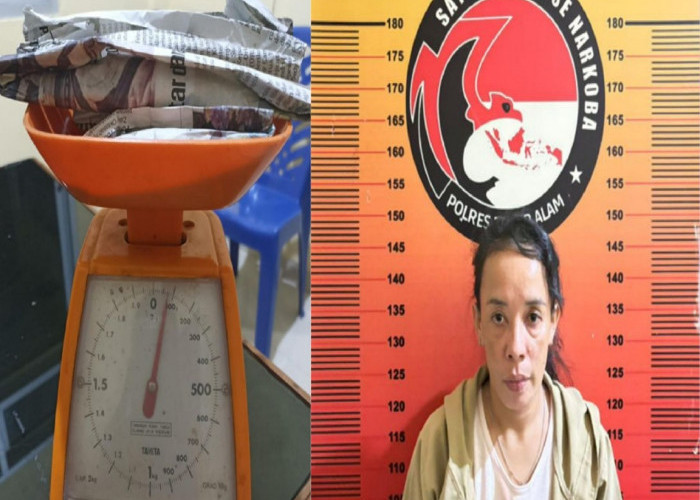 Wanita Ini Gagal Transaksi Narkoba, Polisi Amankan 7 Paket Ganja Siap Edar