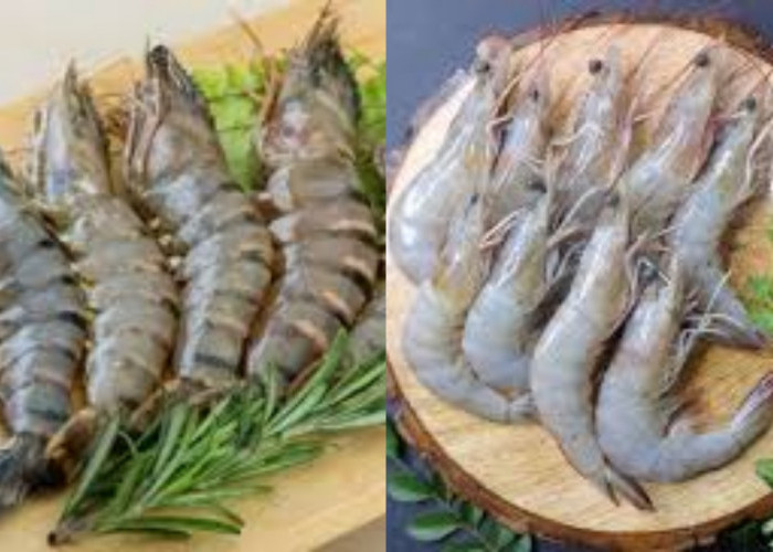 Yuk Kenali! Inilah 8 Manfaat Udang Untuk Kesehatan Yang Luar Biasa