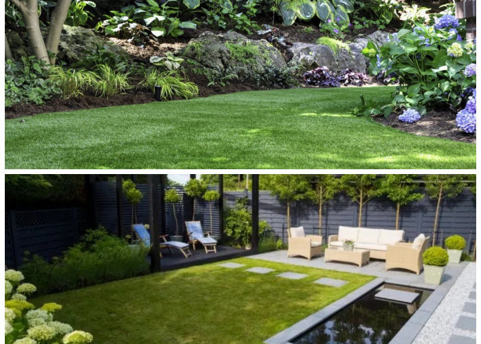 Jenis Rumput Favorit untuk Taman Rumah: Cantik, Rapi, dan Nyaman untuk Bersantai