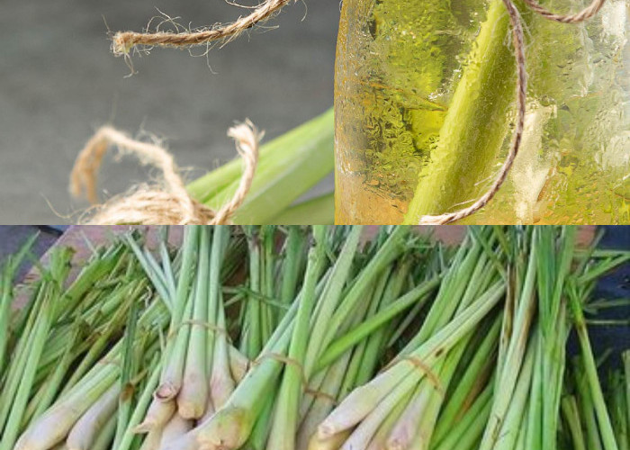  Manfaat Sereh untuk Kesehatan yang Wajib Kita Ketahui!