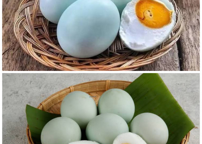 Rahasia Gizi Telur Bebek: Sumber Energi Alami untuk Tubuh Lebih Kuat!