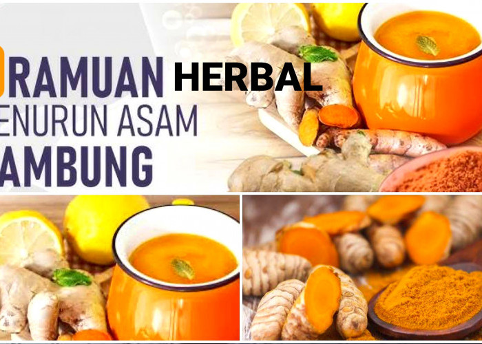 7 Obat Herbal Ampuh Redahkan Asam Lambung Tinggi dan Gerd