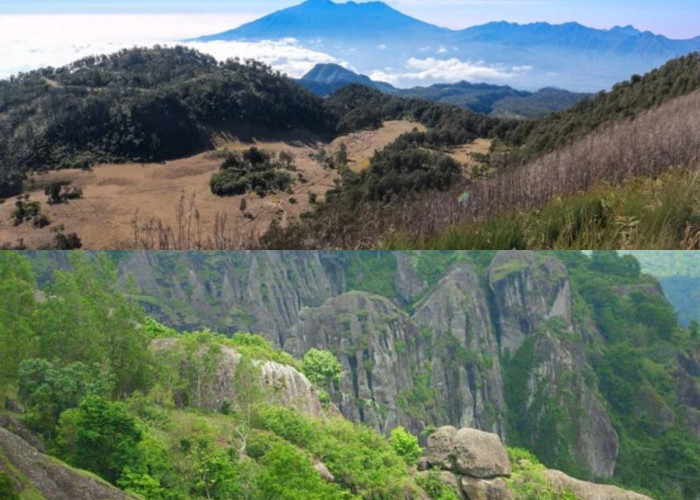 Mengungkap Sejarah dan Misteri Gunung Liangpahang, Gunung Penuh Aura Mistis di Kalimantan