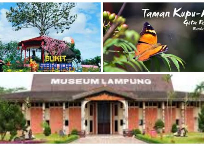 8 Destinasi Wisata Populer di Bandar Lampung yang Wajib Dikunjungi!