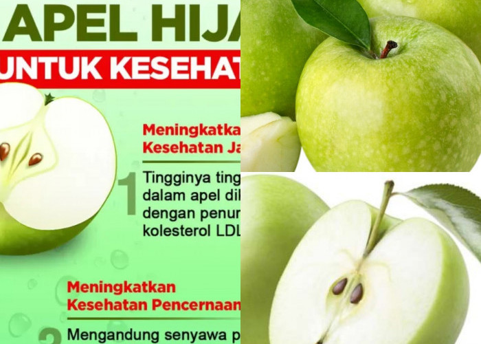 Mengapa Apel Hijau Begitu Hebat untuk Kesehatan? Temukan Jawabannya di Sini!