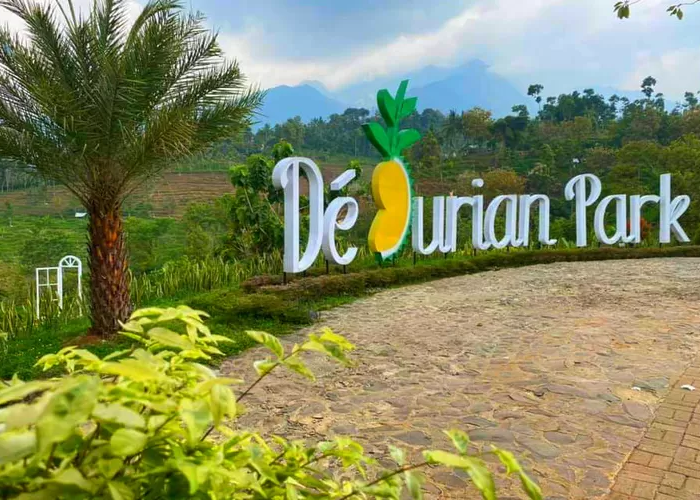 Dekat dengan Alam dan Durian Segar, Inilah  Agrowisata Duran Duren Wonosalam yang Wajib Anda Kunjungi