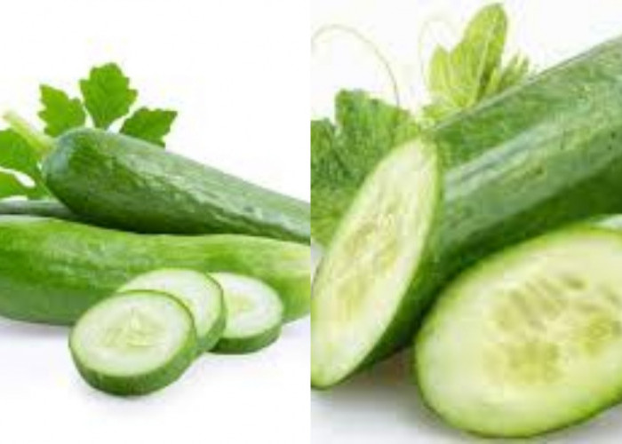 8 Manfaat Jus Timun untuk Kesehatan Tubuh