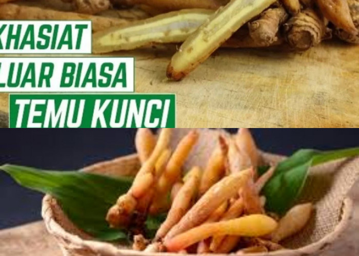 Temu Kunci: Rahasia Kesehatan yang Belum Banyak Diketahui? Yuk, Temukan Manfaatnya!