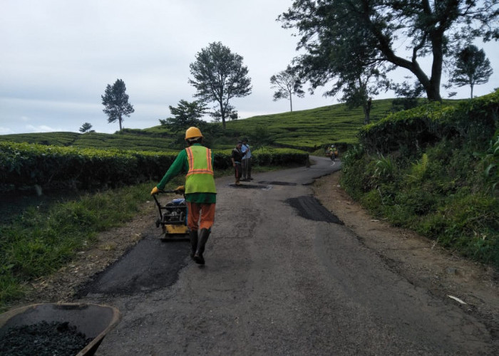 Dukung Pam Nataru, PUPR Perbaiki Kerusakan Jalan Wisata Kebun Teh