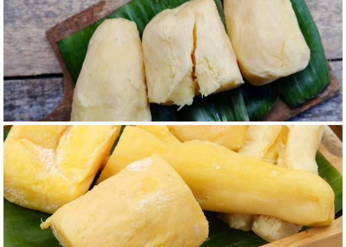 Mengenal Khasiat Tape Singkong: 7 Manfaatnya untuk Tubuh Lebih Sehat