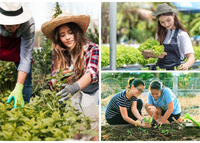 Manfaat Berkebun Tidak Sebatas untuk Mengisi Waktu Luang Saja, Inilah Manfaat Kesehatan Tersembunyi!