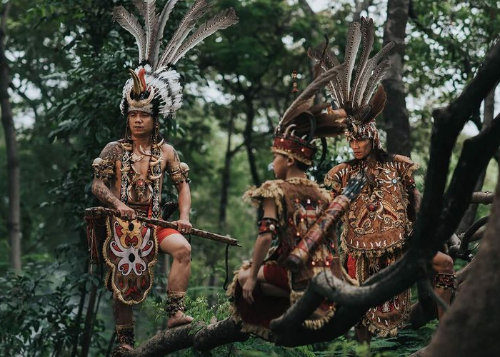 Fakta Menarik Tentang Suku Dayak, Warisan Budaya dari Kalimantan