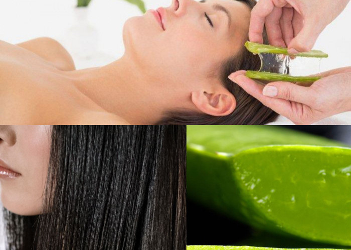  Yang Harus Diketahui 10 Manfaat untuk Rambut Sehat!
