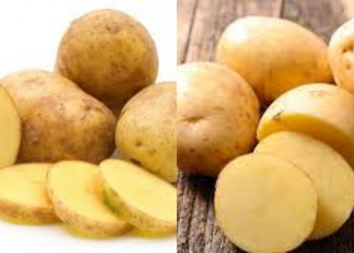 Tak Hanya Meningkatkan Fungsi Otak, Ini Dia 10 Manfaat Kentang Untuk Kesehatan Tubuh!
