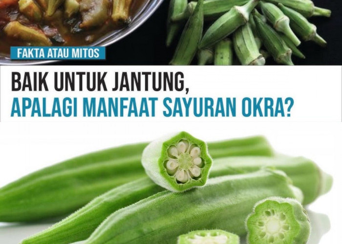 Penasaran? 5 Manfaat Sayur Okra yang Bisa Meningkatkan Kesehatan Tubuhmu!