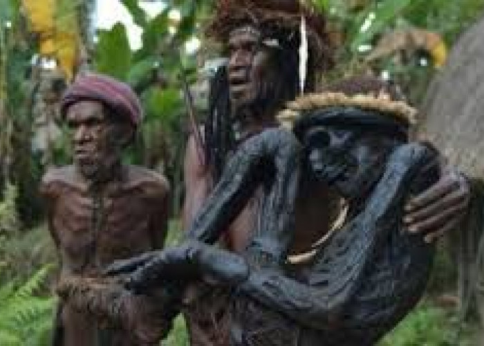 Adat Istiadat Masih Kental, Ini Sejarah Suku Dani dan Asmat Papua