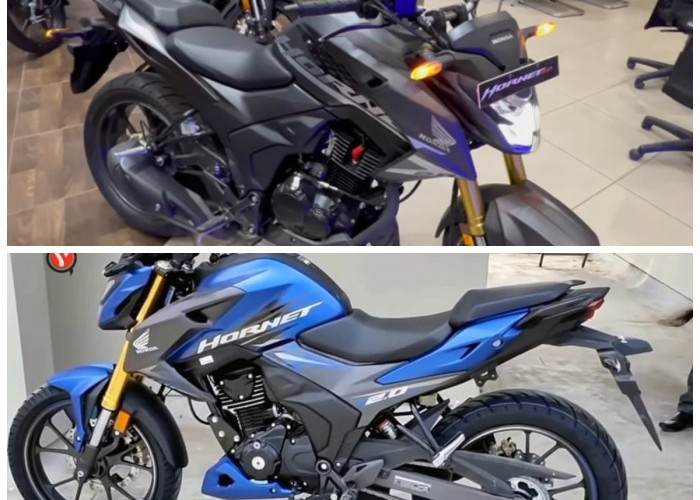 Lezatnya Pindang Ikan Kembung Bumbu Kuning, Masakan Rumahan dengan Rasa Istimewa