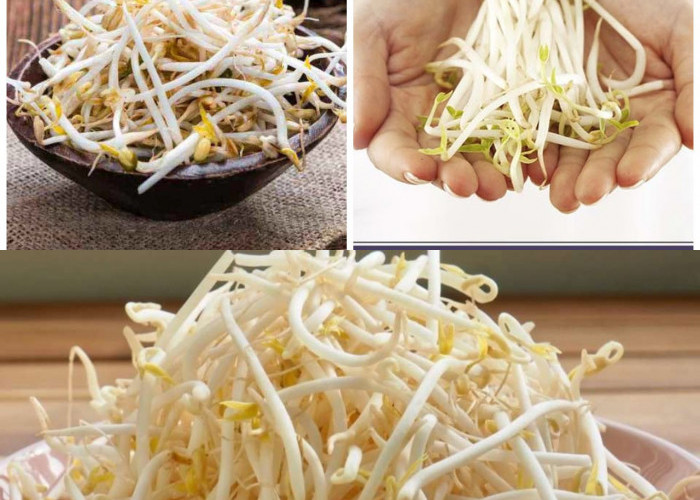 6 Khasiat Toge untuk Kesehatan dan Cara Pengolahannya yang Tepat!