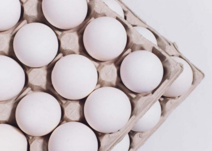 ﻿Mengenal 8 Manfaat Telur Ayam Kampung Bagi Kesehatan 