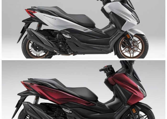 Harga Honda Forza Terbaru Bikin Heboh, Skutik Bongsor Ini Tetap Jadi Incaran!