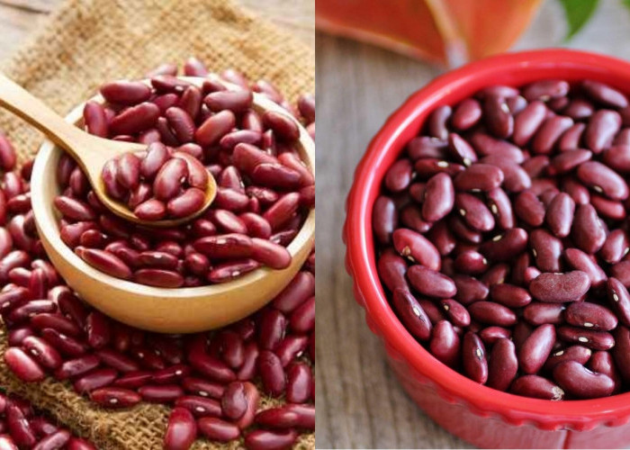 Wajib Tahu Inilah Manfaat Kacang Merah Bagi Kesehatan Tubuh! 