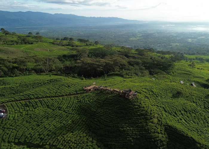 Kawasan Wisata Gunung Dempo Kembali Dibuka, Bersinergi Majukan Wisata Pagar Alam
