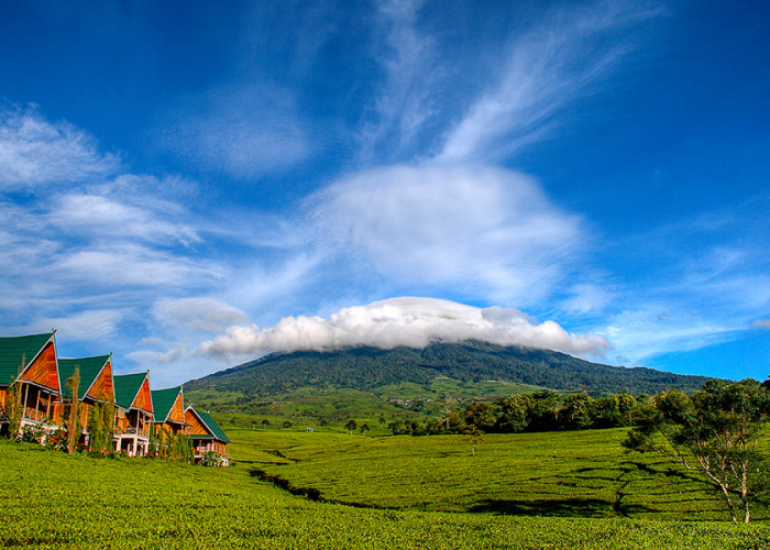 Pesona Alam dan Budaya, 5 Tempat Wisata Tersembunyi di Sumatera Selatan
