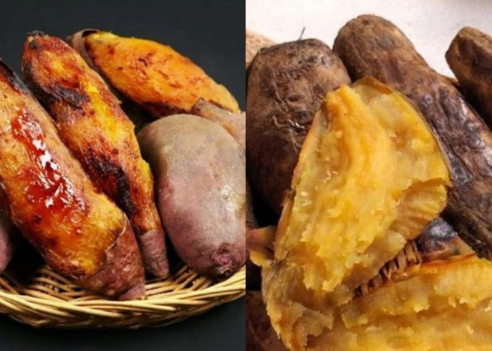 Inilah Manfaat dari Ubi Cilembu, Mulai dari Atasi Sembelit hingga Cegah Kanker!