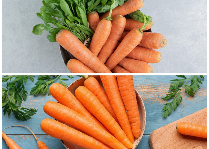 Manfaat Wortel bagi Kesehatan: Sayuran Kaya Nutrisi untuk Mendukung Tubuh Lebih Sehat!