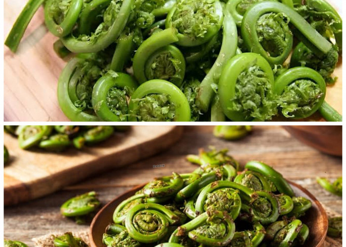 Khasiat Tersembunyi Sayur Pakis yang Baik untuk Menjaga Kesehatan Tubuh!