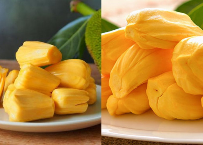 Manfaat dan Khasiat Buah Nangka untuk Ibu Hamil yang Jarang Diketahui!