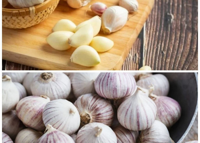 Jangan Sepelekan! Ini Khasiat Luar Biasa Bawang untuk Menunjang Kesehatan Anda