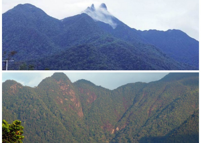 Mengenal Gunung Djadi Riau: Keindahan Alam dan Fakta Menarik bagi Pendaki