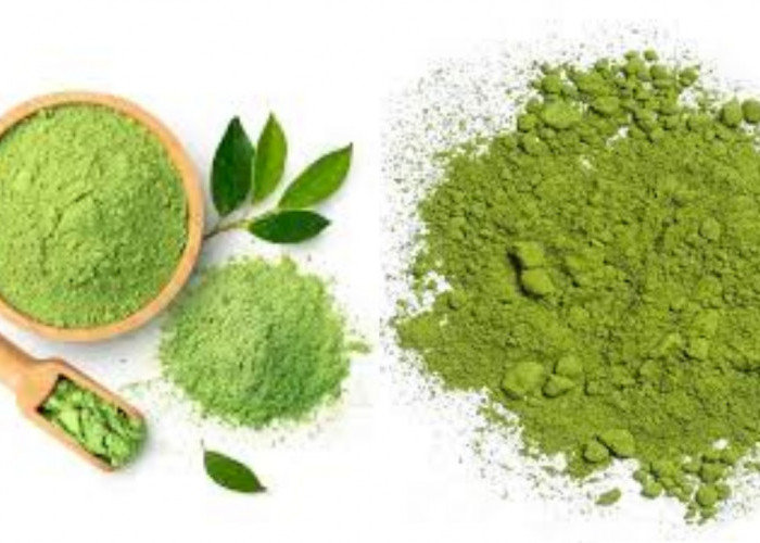 Rahasia Sehat Dari Jepang: 8 Manfaat Ajaib Matcha Yang Wajib Kamu Tahu