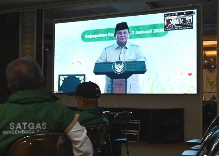 Solidaritas Kemanusian, Indonesia Kirim 10 Ribu Ton Beras ke Palestina