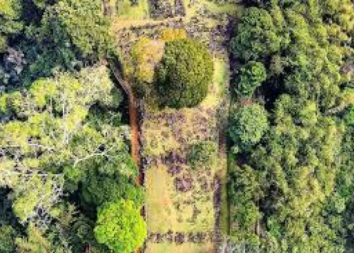 Situs Gunung Padang Tempat Bersemayam Leluhur, Konon Dijadikan Pemujaan Peradaban Purba 2000 SM