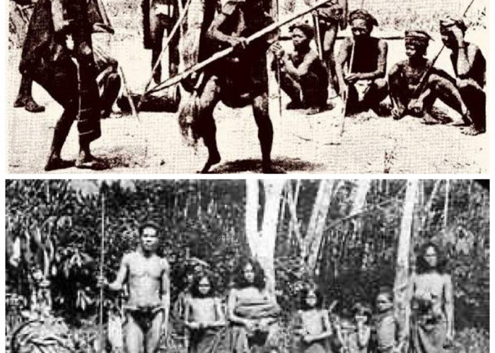 Jejak Sejarah Suku Moronene: Kearifan Leluhur di Tengah Lanskap Rawa Sulawesi!