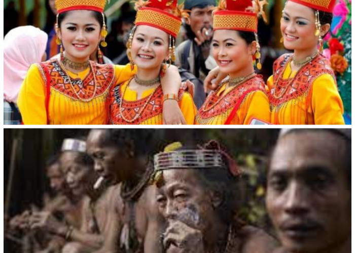 Miliki Masyarkat yang Unik, Berikut Sejarah 5 Suku di Sulawesi yang Masih ada Hingga Kini