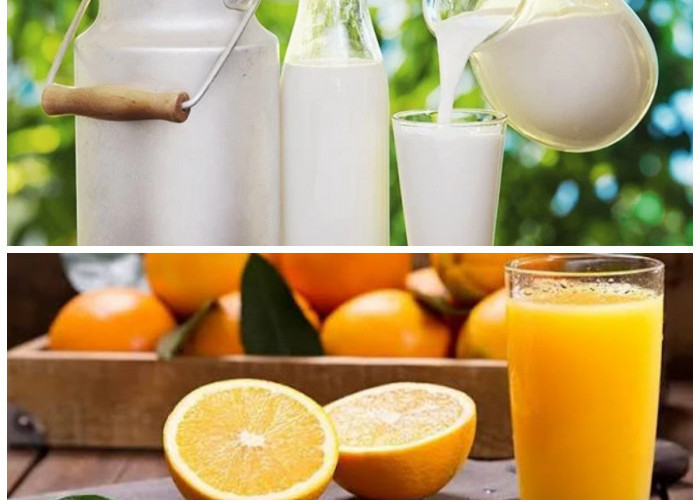 Jangan Lewatkan! 4 Minuman Sumber Vitamin D yang Baik untuk Kesehatan Tulang dan Daya Tahan Tubuh