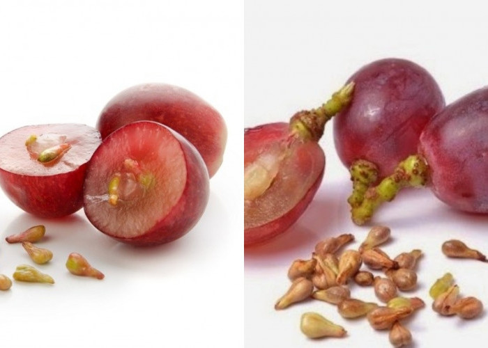 Sederet Manfaat Biji Anggur Untuk Kesehatan Yang Perlu Kalian Tahu! 