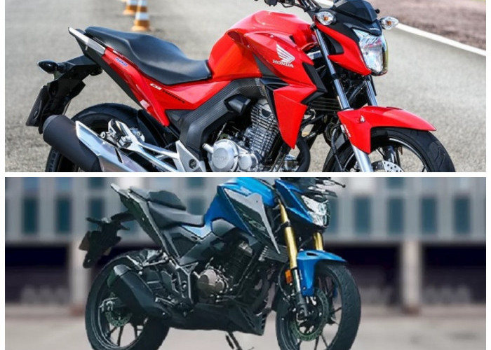 Motor Tiger Reborn 2024: Semua yang Perlu Kamu Tahu tentang Harga dan Spesifikasinya!