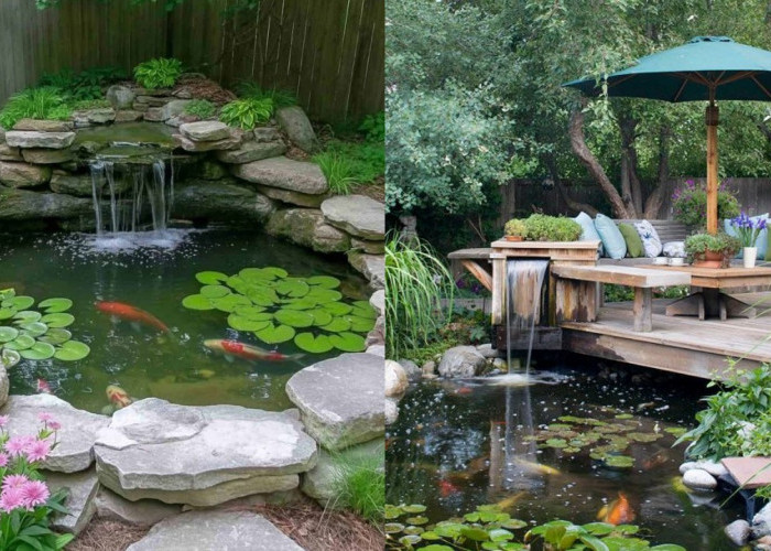 Sulap Sudut Rumah Jadi Asri! Ini 7 Inspirasi Kolam Ikan Minimalis yang Cantik
