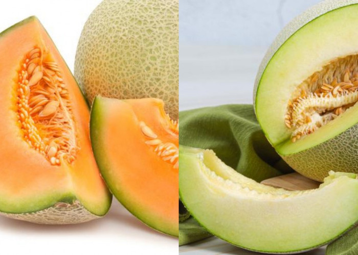 Inilah Manfaat Buah Melon Jika Rutin Dikonsumsi, Kaya Nutrisi!