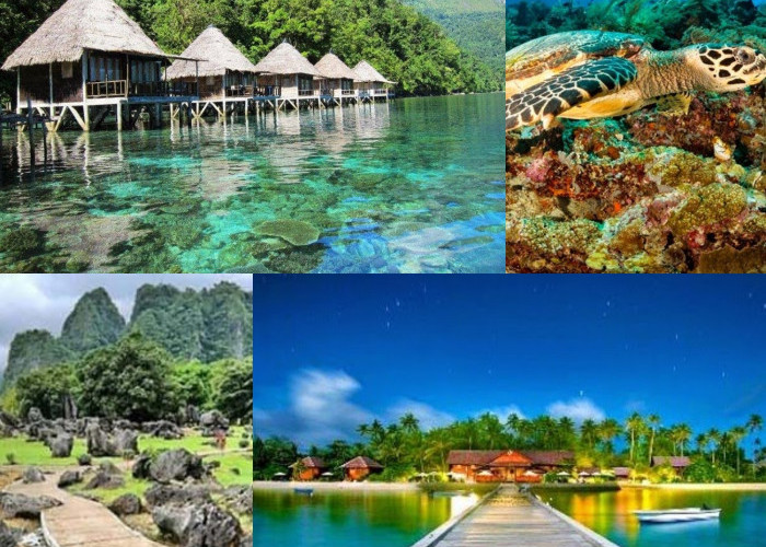 Rekomendasi Destinasi Wisata Paling Terkenal di Sulawesi! Wajib Kamu Kunjungi