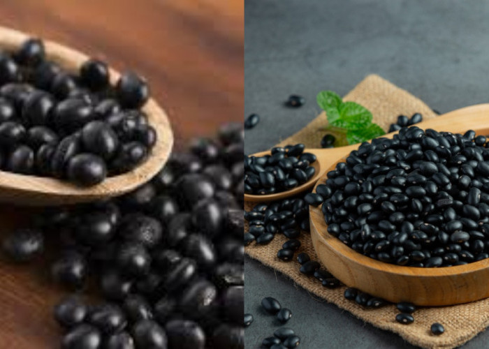 Jangan Sampai Lewat! Inilah 8 Manfaat Kedelai Hitam Untuk Kesehatan Tubuh